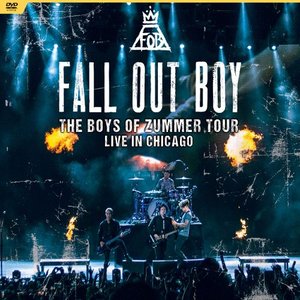 The Boys of Zummer Tour: Live in Chicago