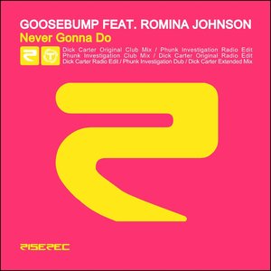 Never Gonna Do (feat. Romina Johnson)