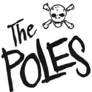 “Poles”的封面
