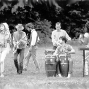 Dunkelziffer photo provided by Last.fm