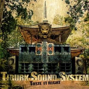 Аватар для Tiburk Sound System