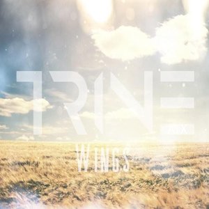 Wings - Single