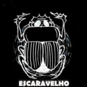 Escaravelho 的头像
