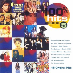 100% Hits Vol. 5