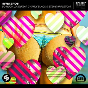So Much Love (feat. Charly Black & Stevie Appleton)