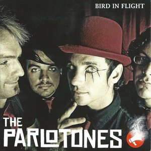 Bird In Flight