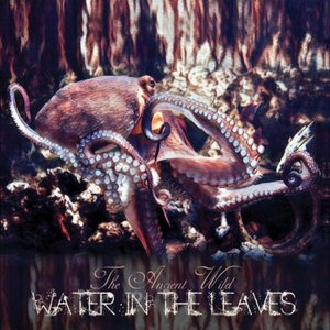 Water in the Leaves