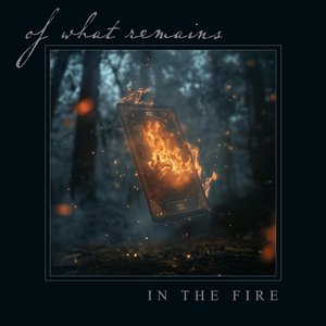 In The Fire