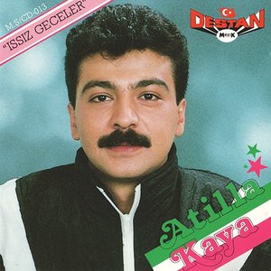 ISSIZ GECELER