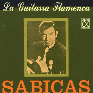 La Guitarra Flamenca