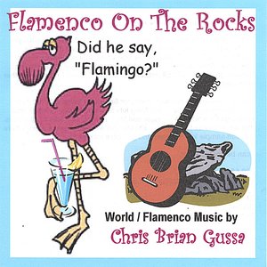 Flamenco On The Rocks