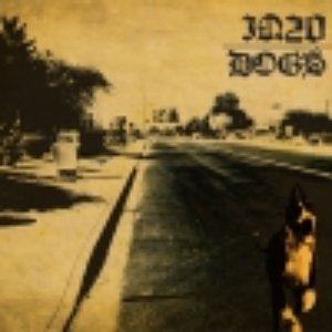 DOGS