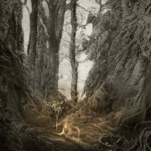Sunless Altar 的头像