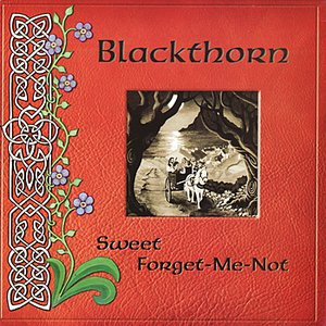 Sweet Forget-Me-Not