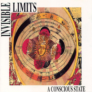 A Conscious State cover