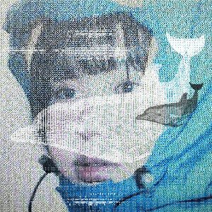 dolphin - Single