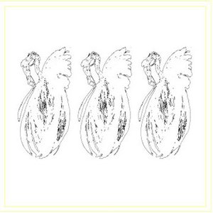 Shed Skin