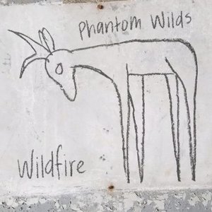 Wildfire