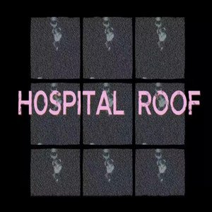 Hospital Roof