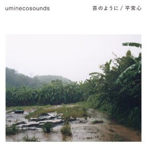 苔のように/平常心