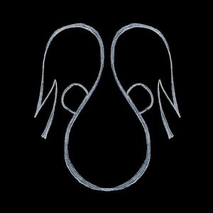 Immune - Single