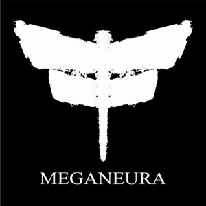 Image for 'Meganeura'