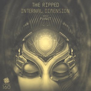 Internal Dimension - Single