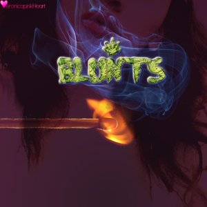 Image pour 'Blunts'