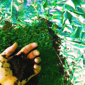 Fertilizer
