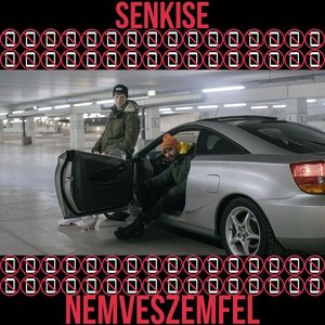 Nemveszemfel