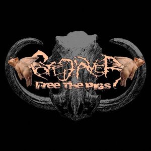 Free The Pigs