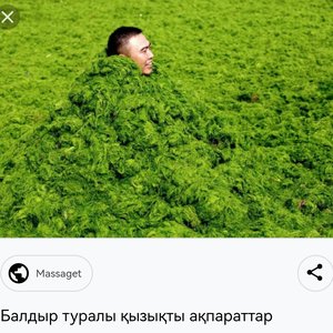 cotashono 的头像
