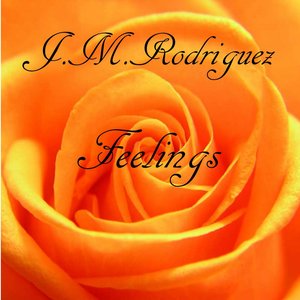 Feelings