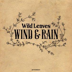 Wild Leaves 的头像