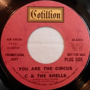 You Are the Circus