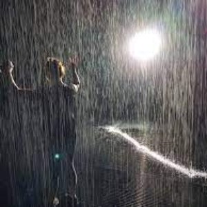 Rain Noises 的头像