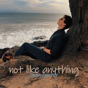 Not Like Anything