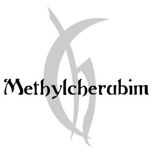 Methylcherubim のアバター