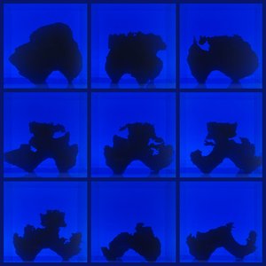 Birth (Defects) – Fictional Days LP viršelis