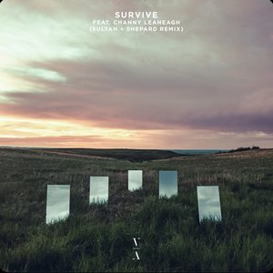 Survive (Sultan + Shepard Remix) [feat. Channy Leaneagh]