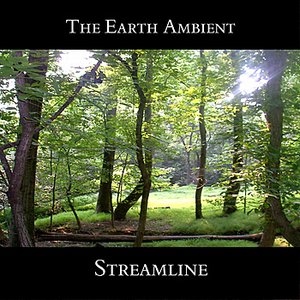 The Earth Ambient