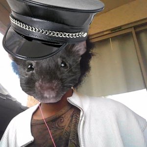 Avatar di Swr.ratGRL