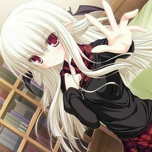 angelicxmei 的头像