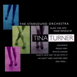 Plays the Hits Made Famous by Tina Turner