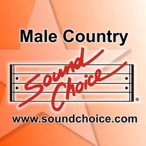 Image pour 'Karaoke - 90's Male Country - Vol.2'