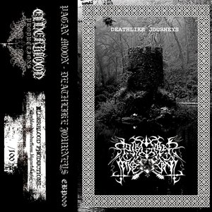 Deathlike Journeys