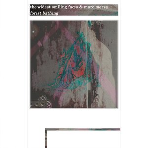 Forest Bathing