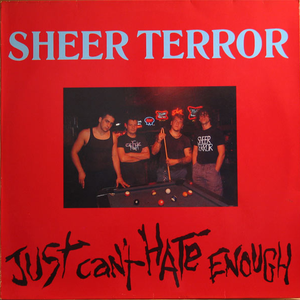 Just Can't Hate Enough cover