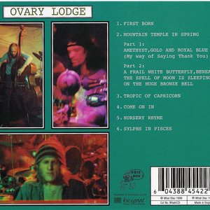 Keith Tippett, Roy Babbington, Frank Perry 的头像