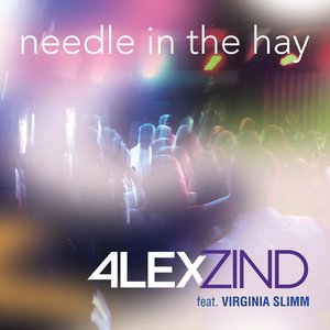 Needle in the Hay